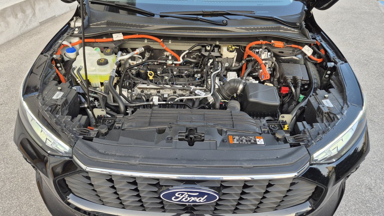 S polno 45-litrsko posodo za gorivo in polno baterijo sem brez težav prevozil okrog 800 kilometrov.