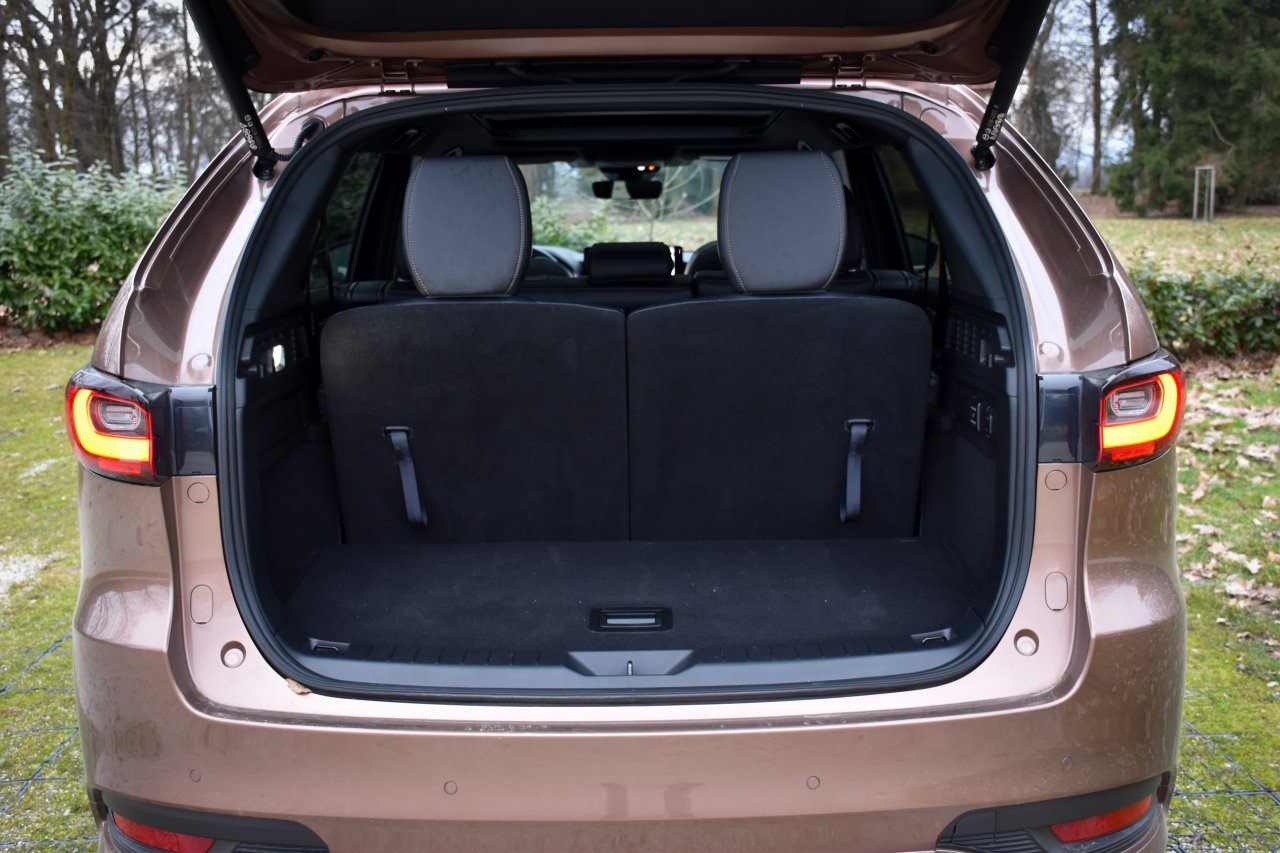 Še vedno močno verjamejo v dizelski motor