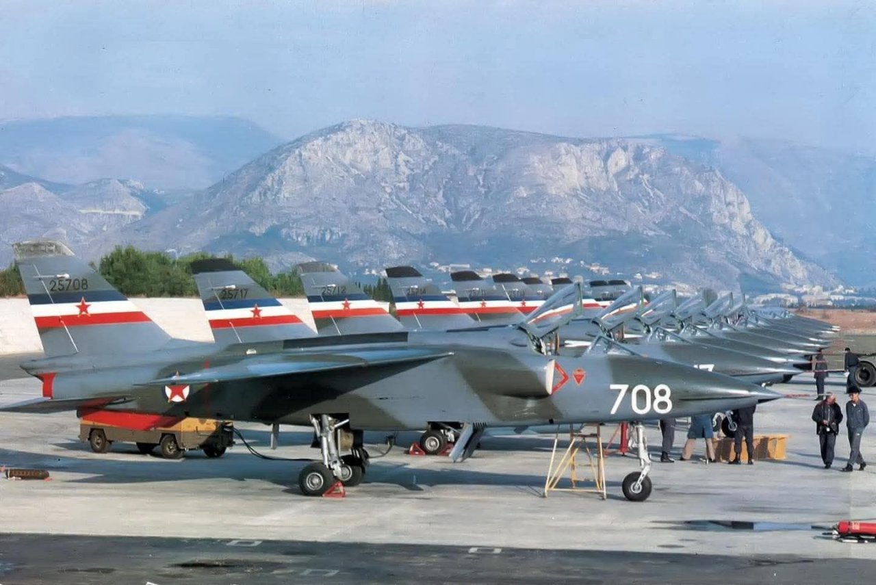 Jugoslovanski orel s kratkimi krili